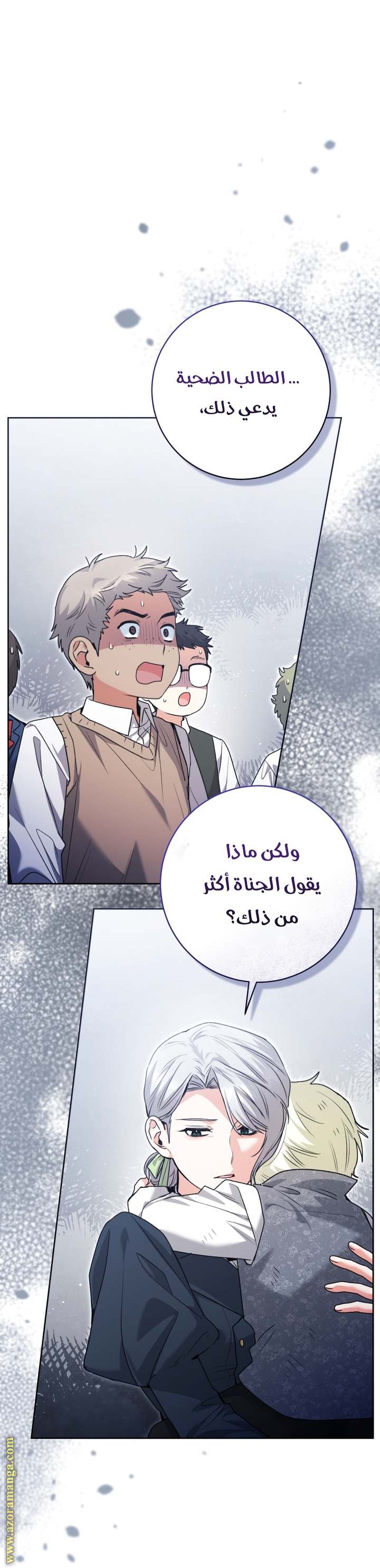 الصفحة 26