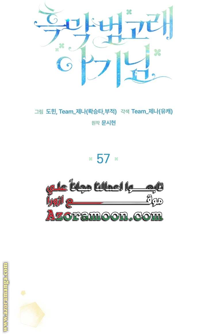 الصفحة 29