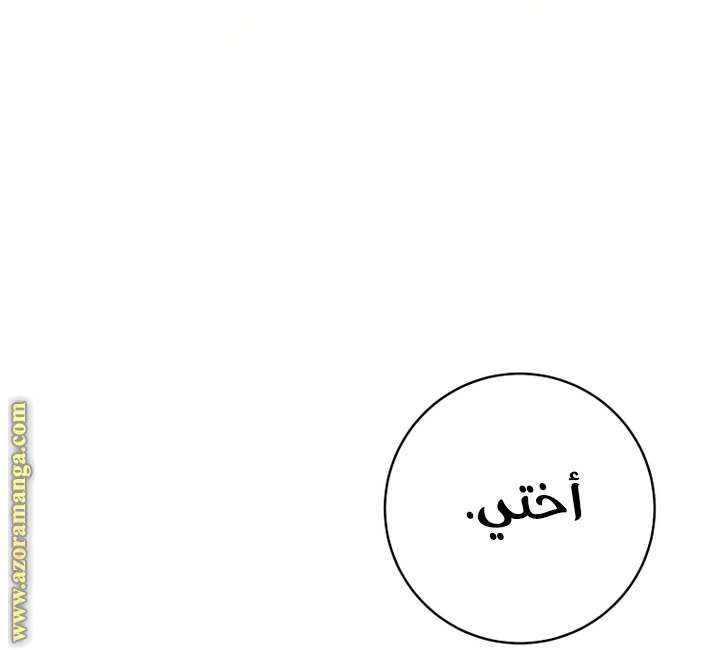 الصفحة 42