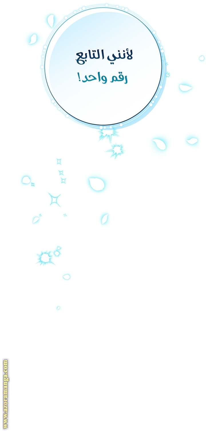 الصفحة 44