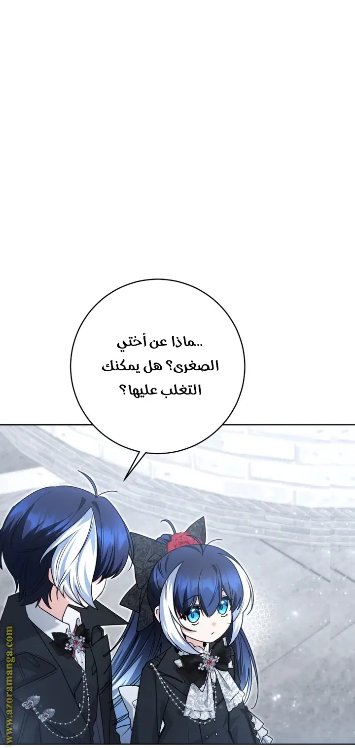 الصفحة 24