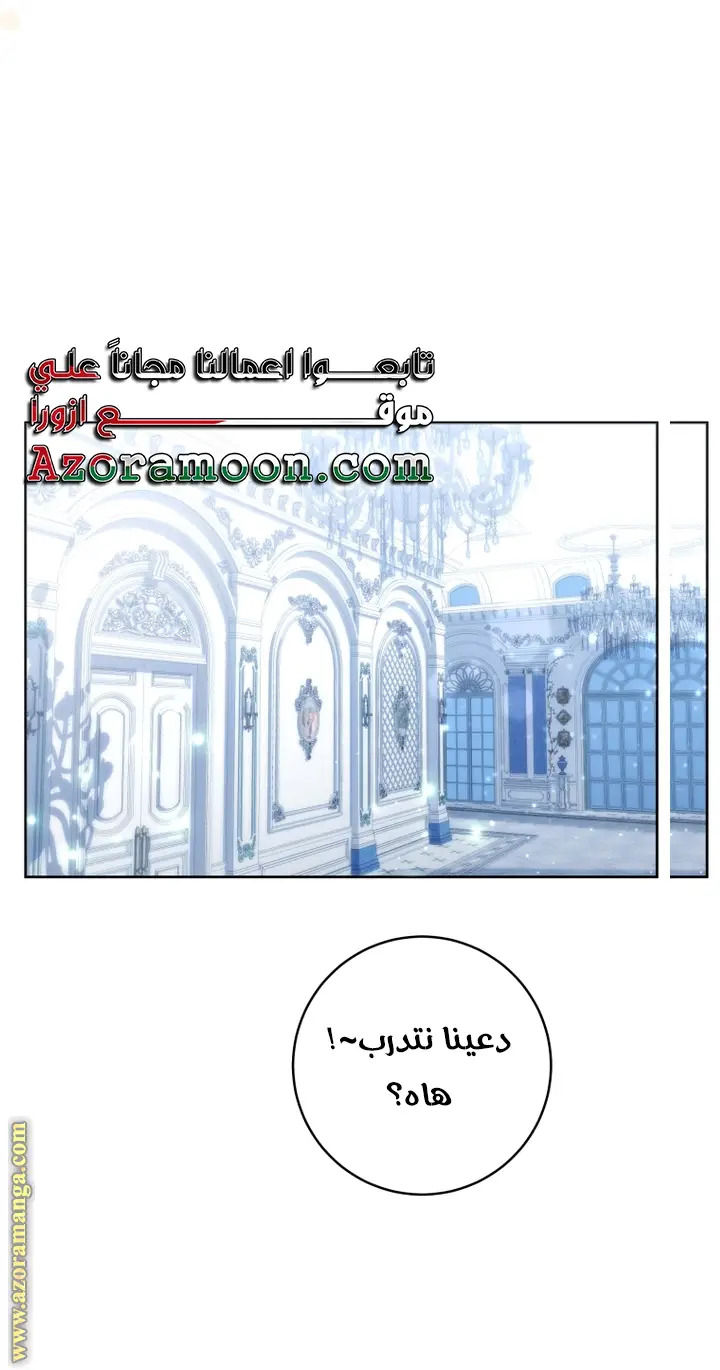 الصفحة 27