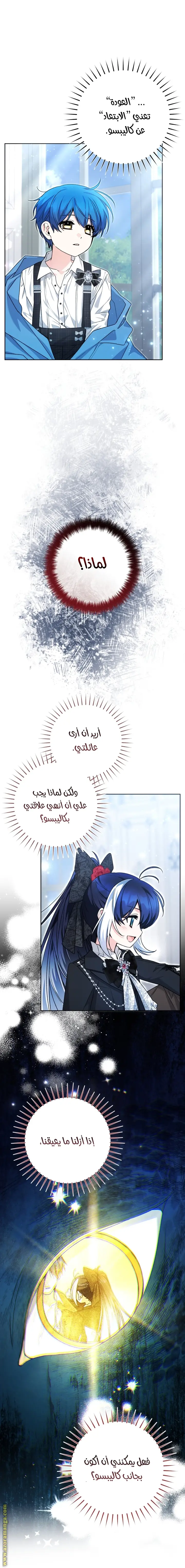 الصفحة 41