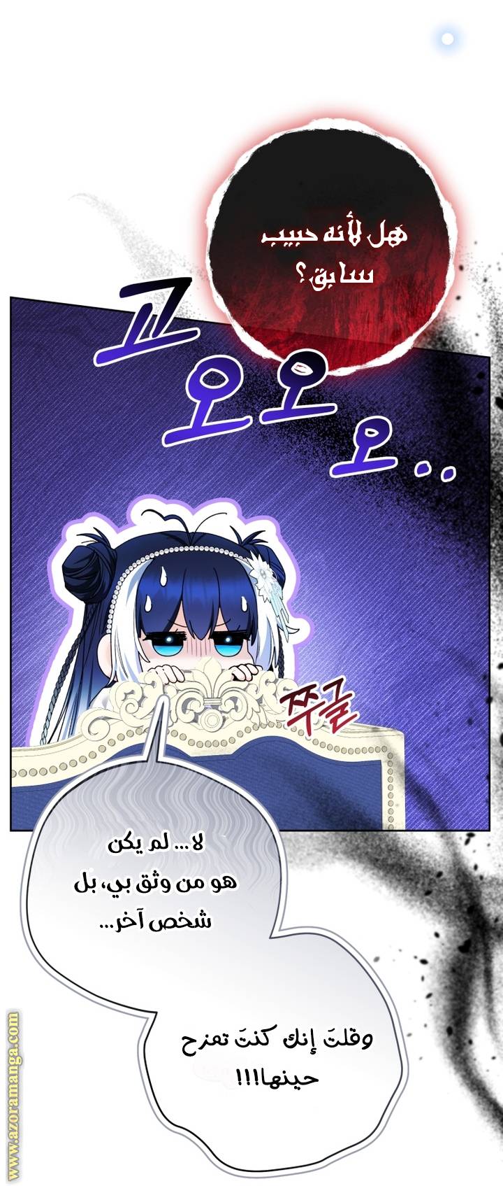 الصفحة 17