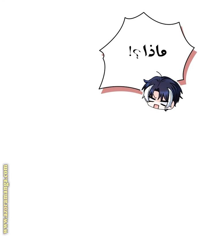 الصفحة 42