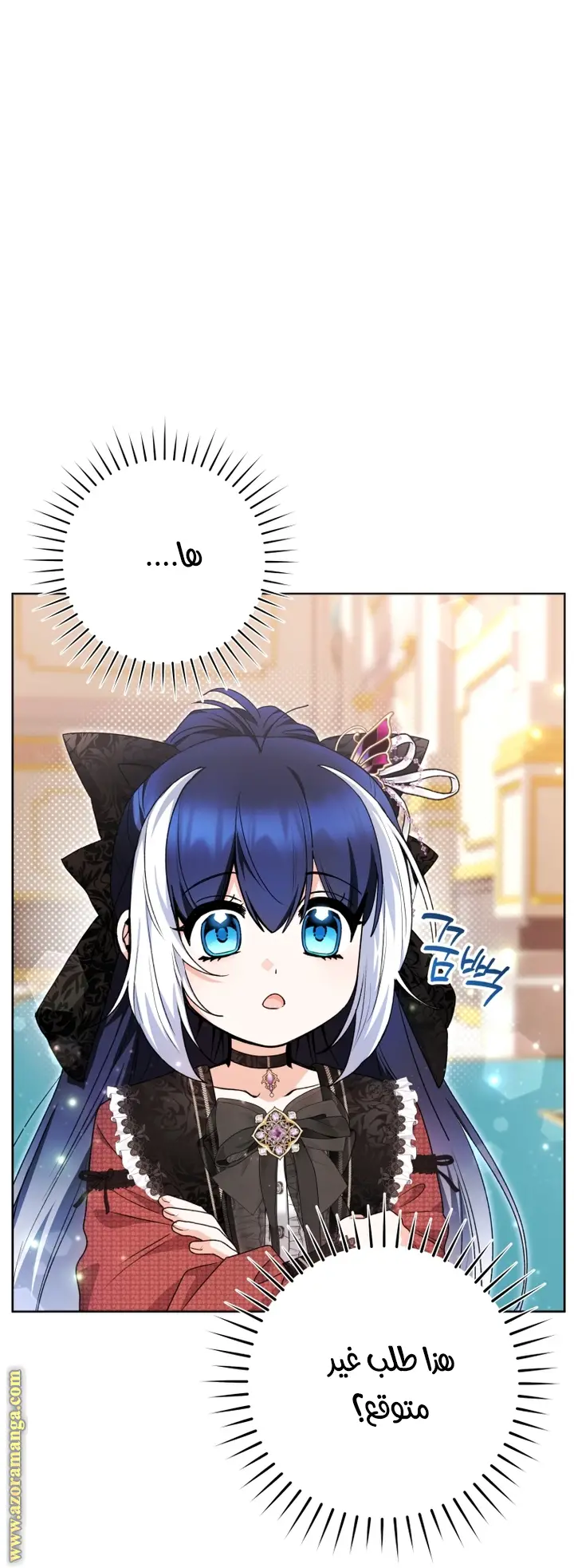 الصفحة 17