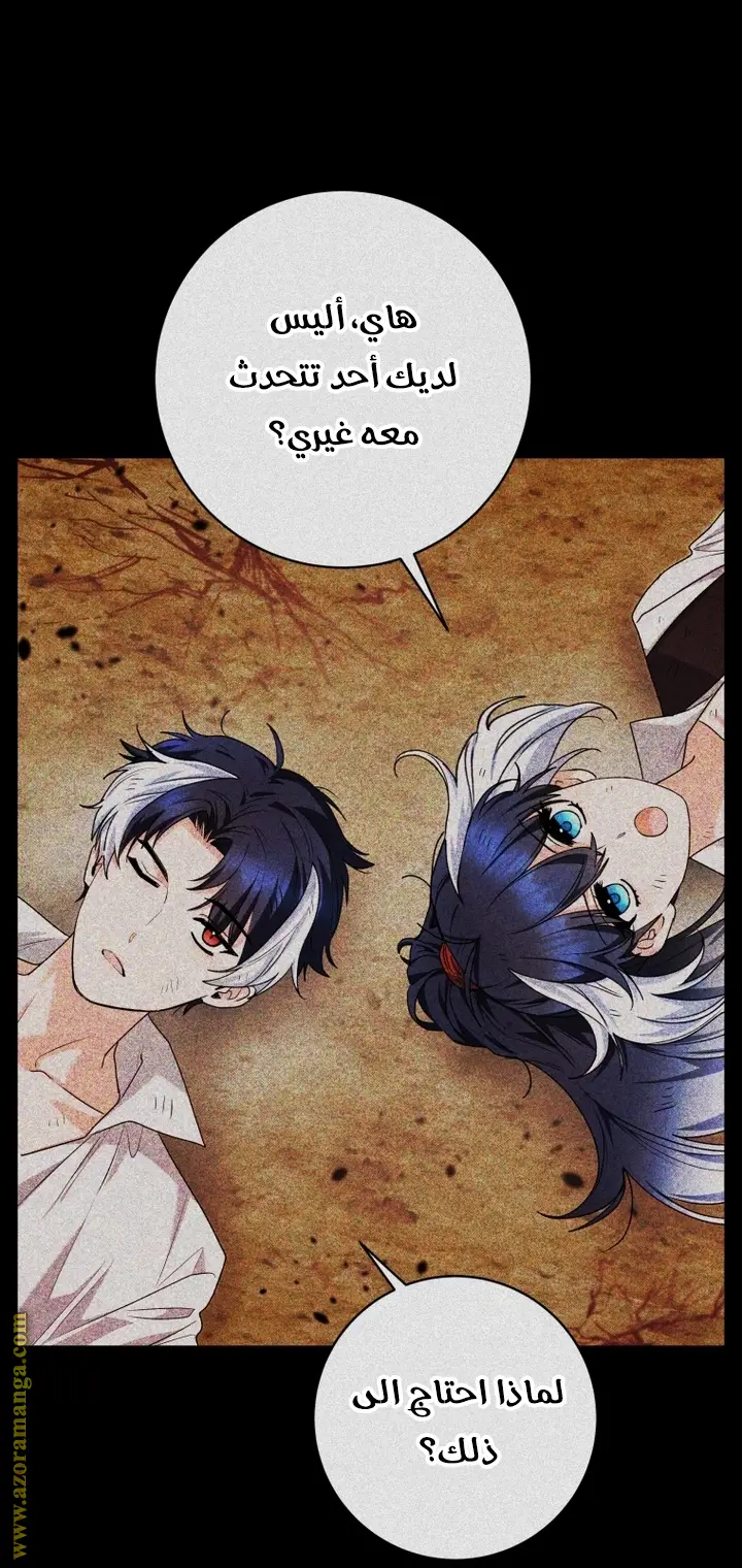 الصفحة 19