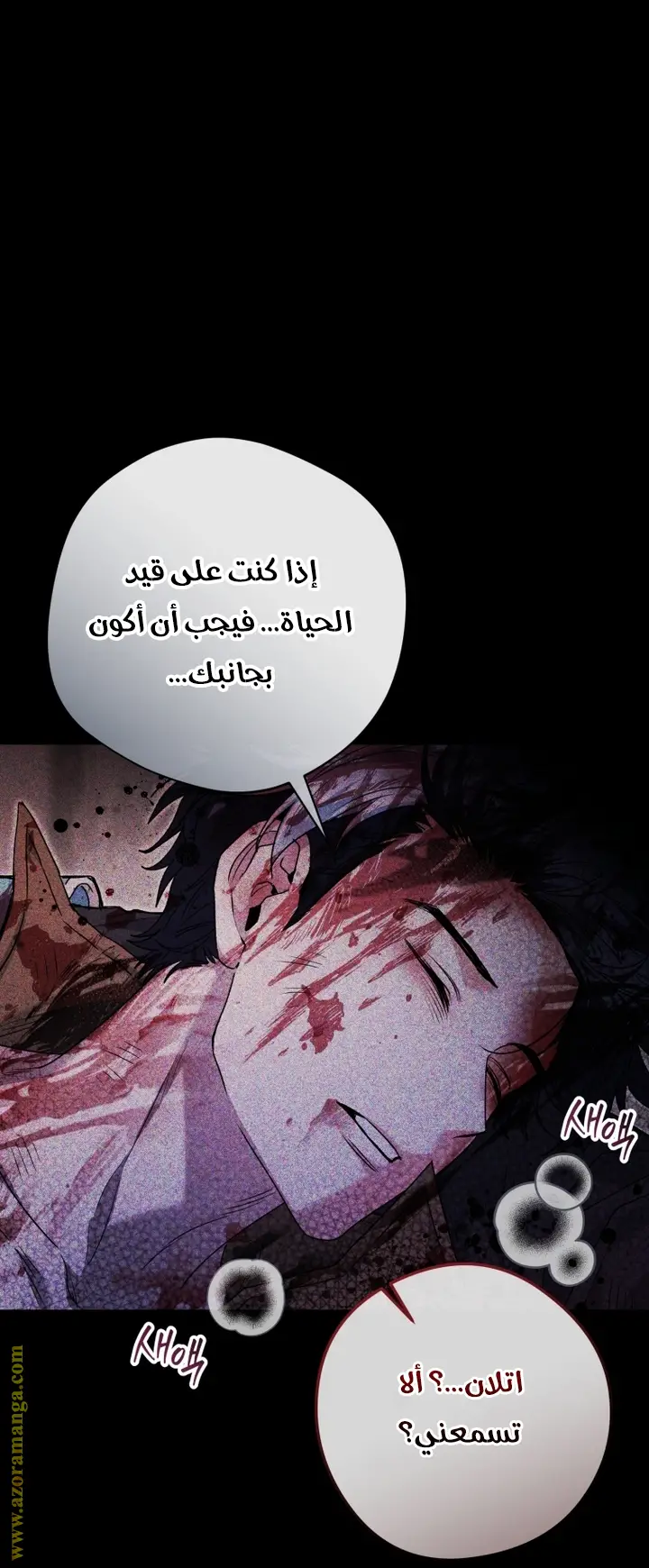 الصفحة 43