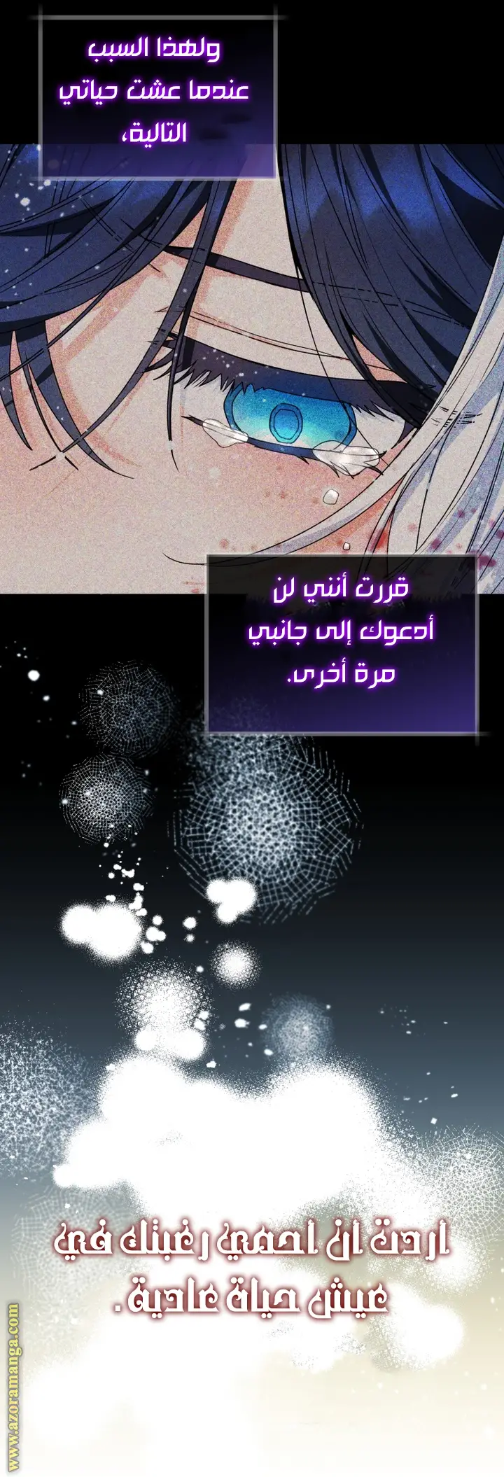 الصفحة 48