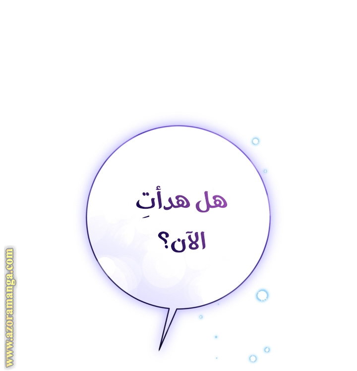 الصفحة 21