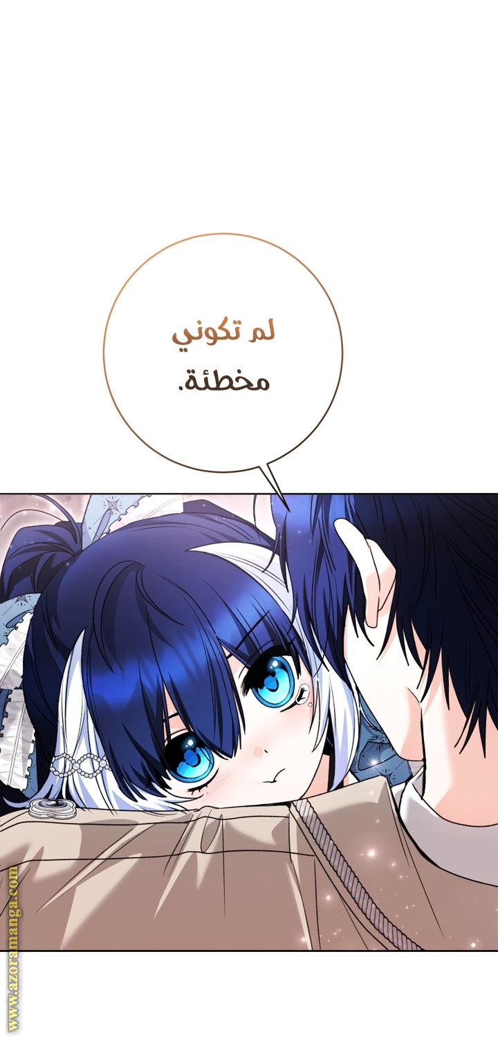 الصفحة 27