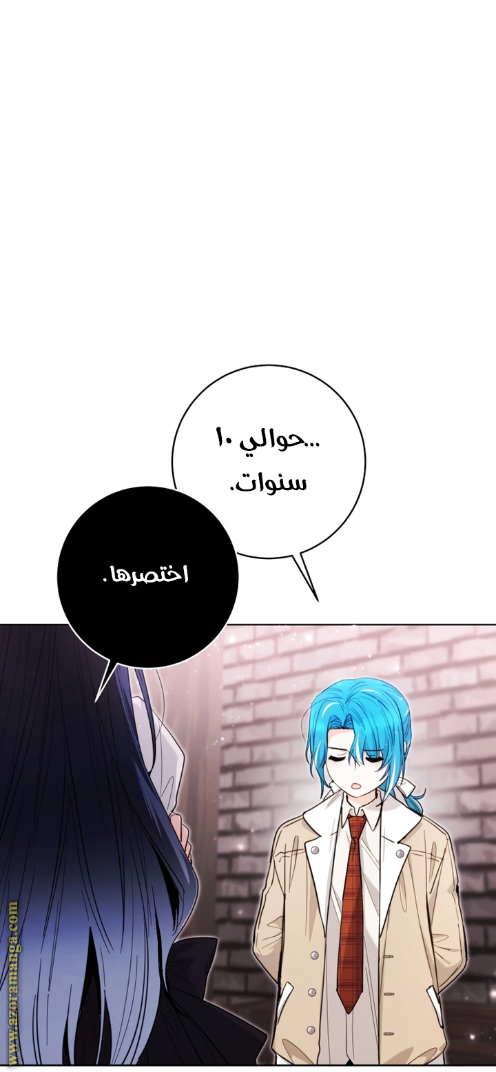 الصفحة 41