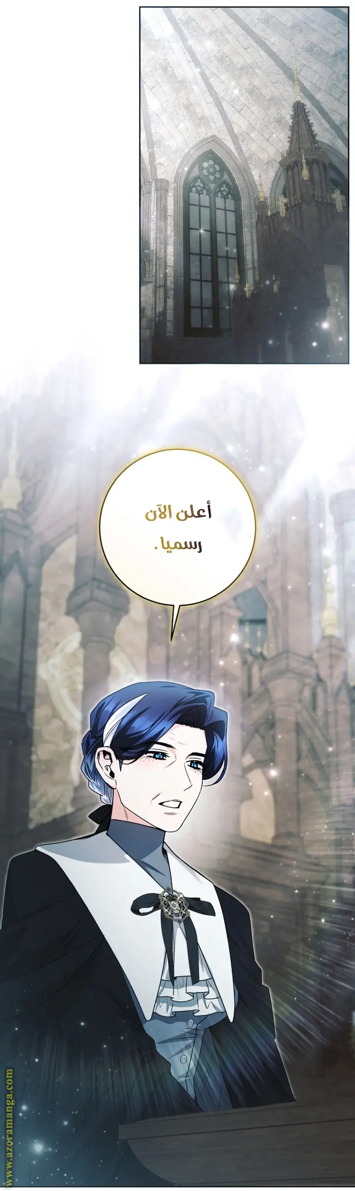 الصفحة 29