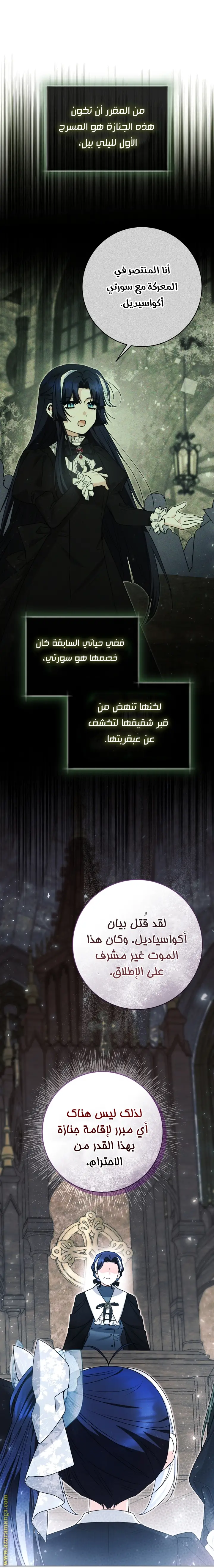 الصفحة 38