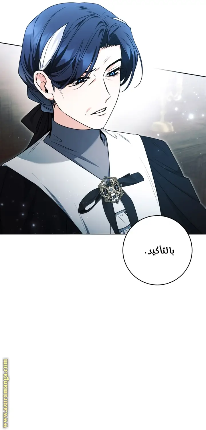 الصفحة 40
