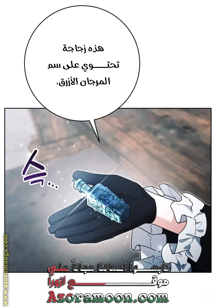 الصفحة 41
