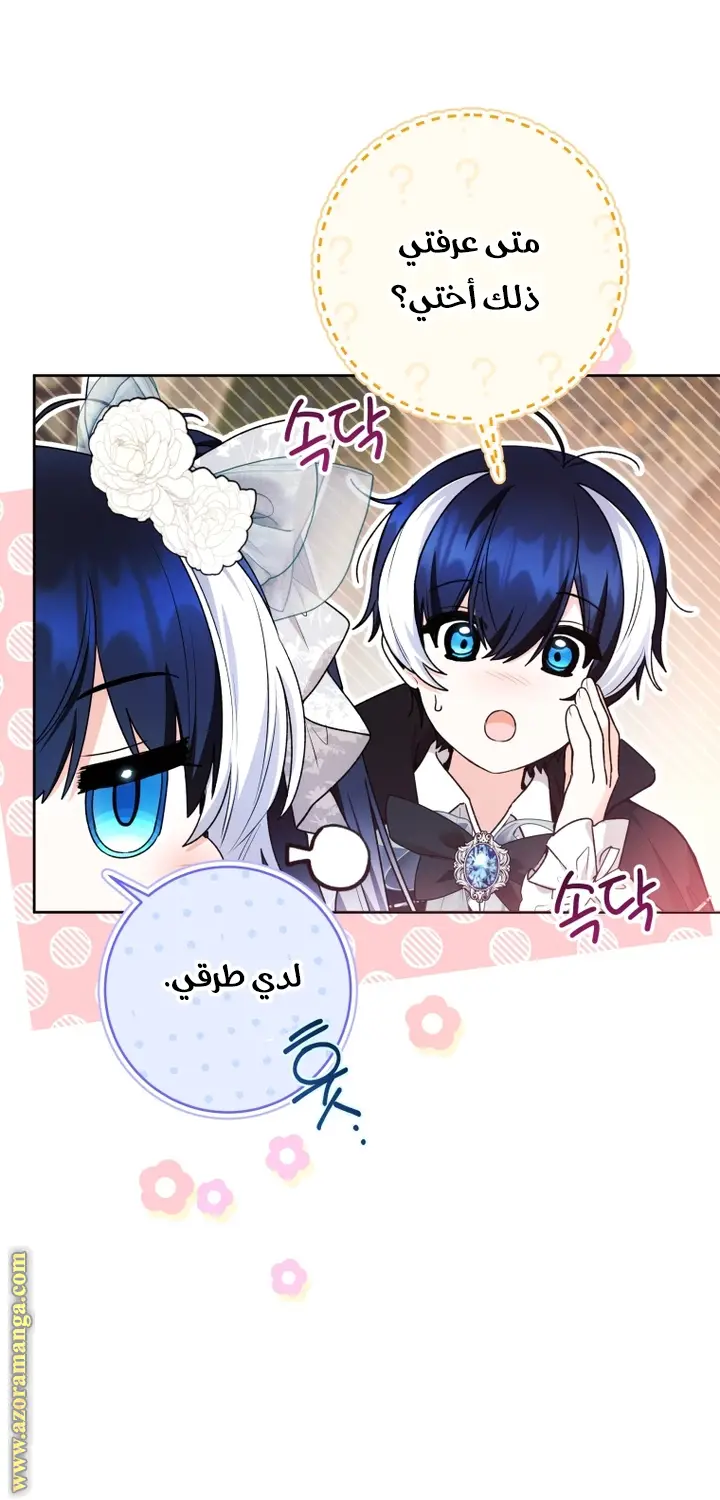 الصفحة 43