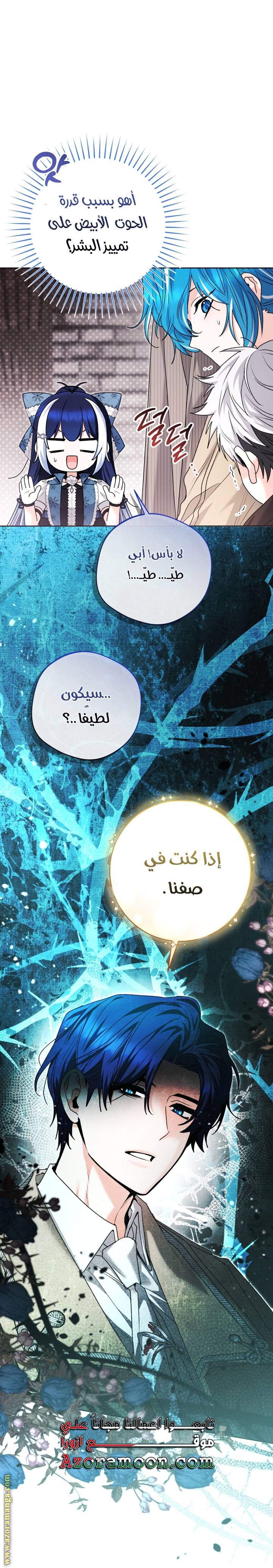 الصفحة 19