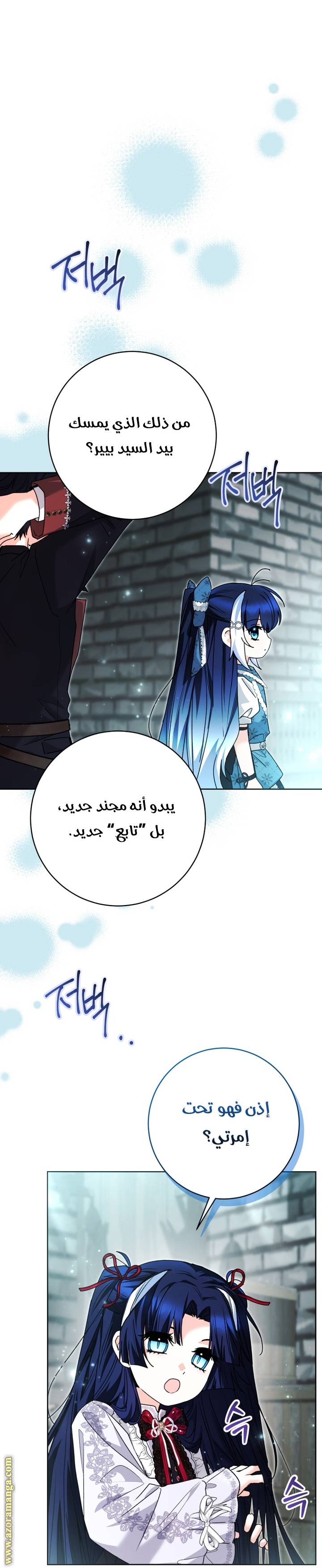 الصفحة 25