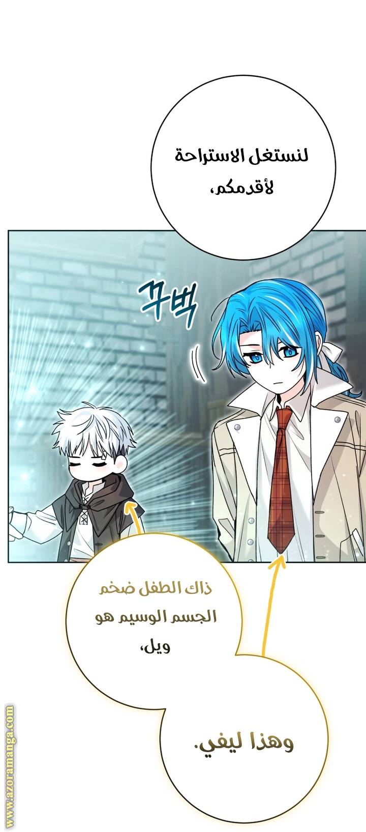 الصفحة 29
