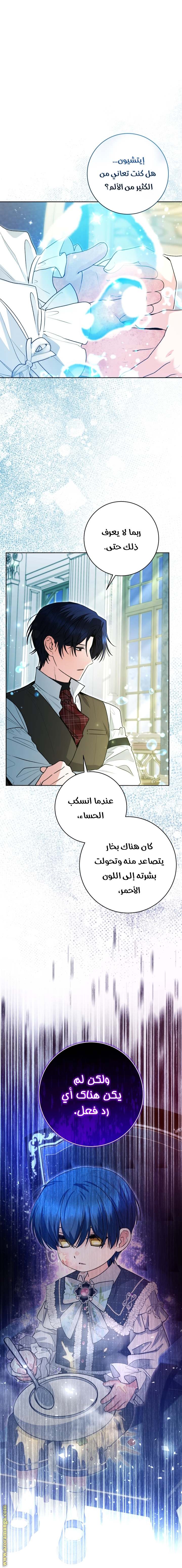 الصفحة 14