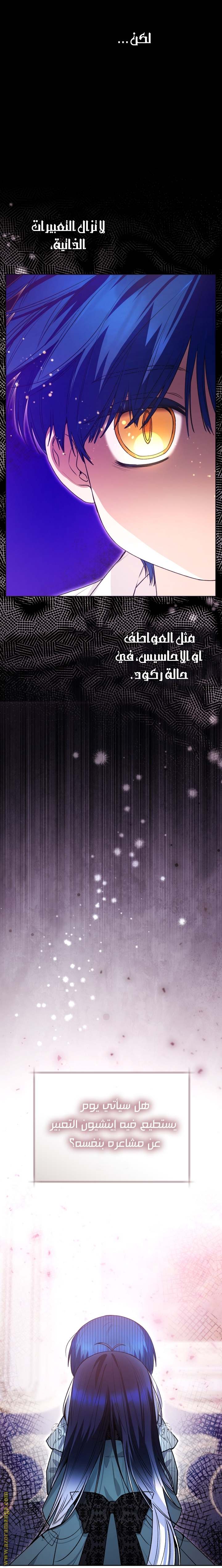 الصفحة 19