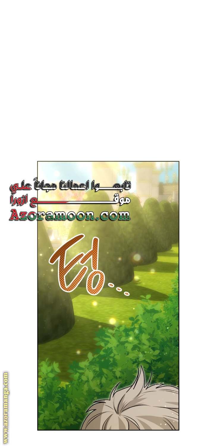 الصفحة 42