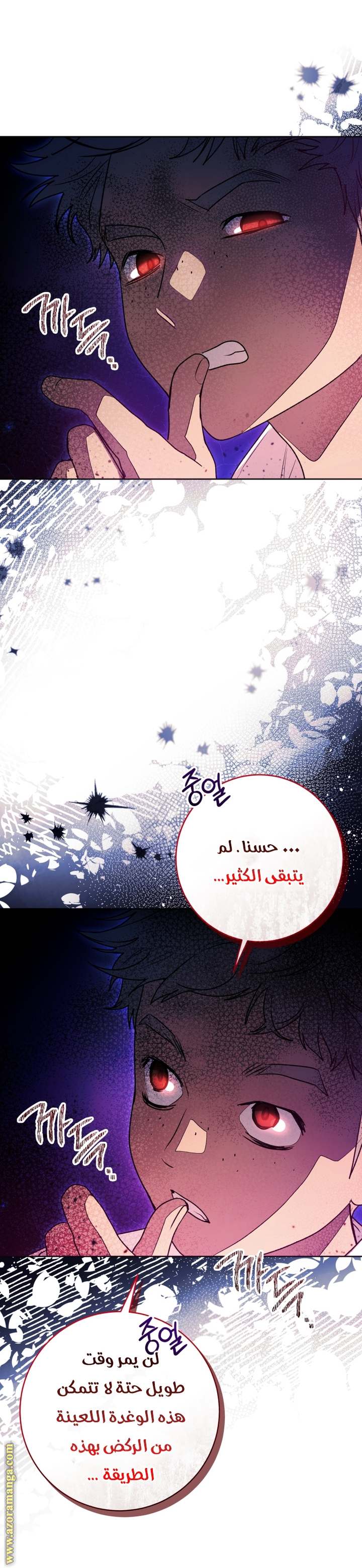 الصفحة 43