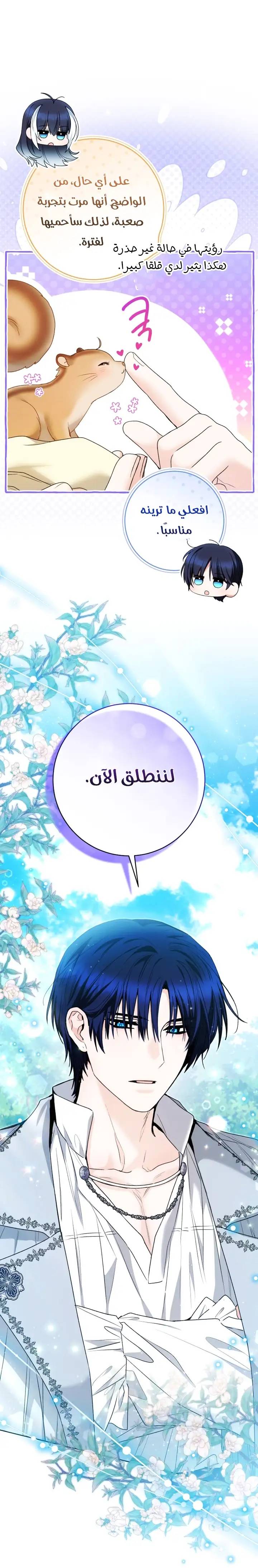 الصفحة 19