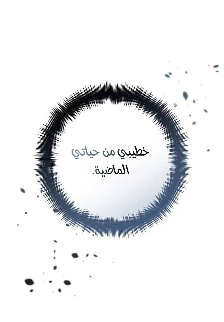 الصفحة 37