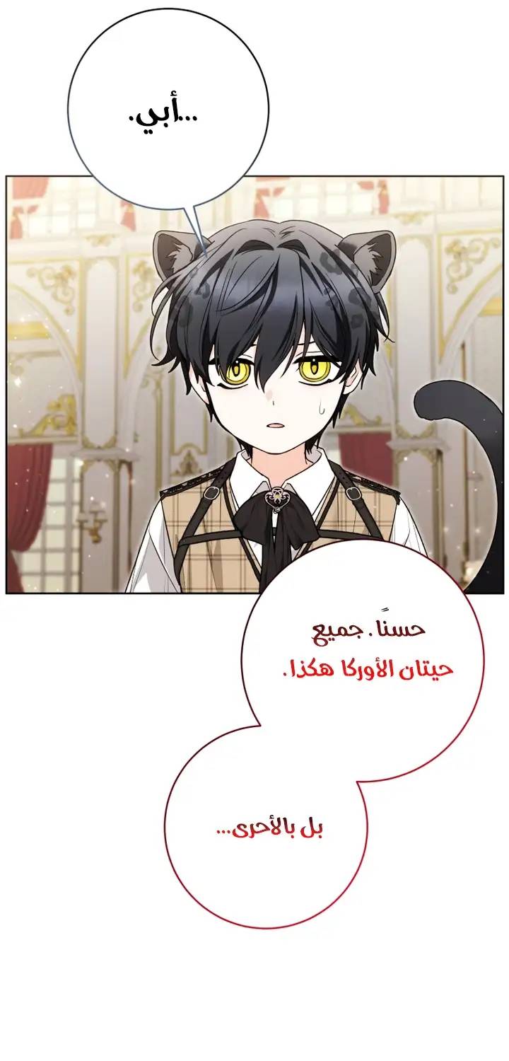 الصفحة 54