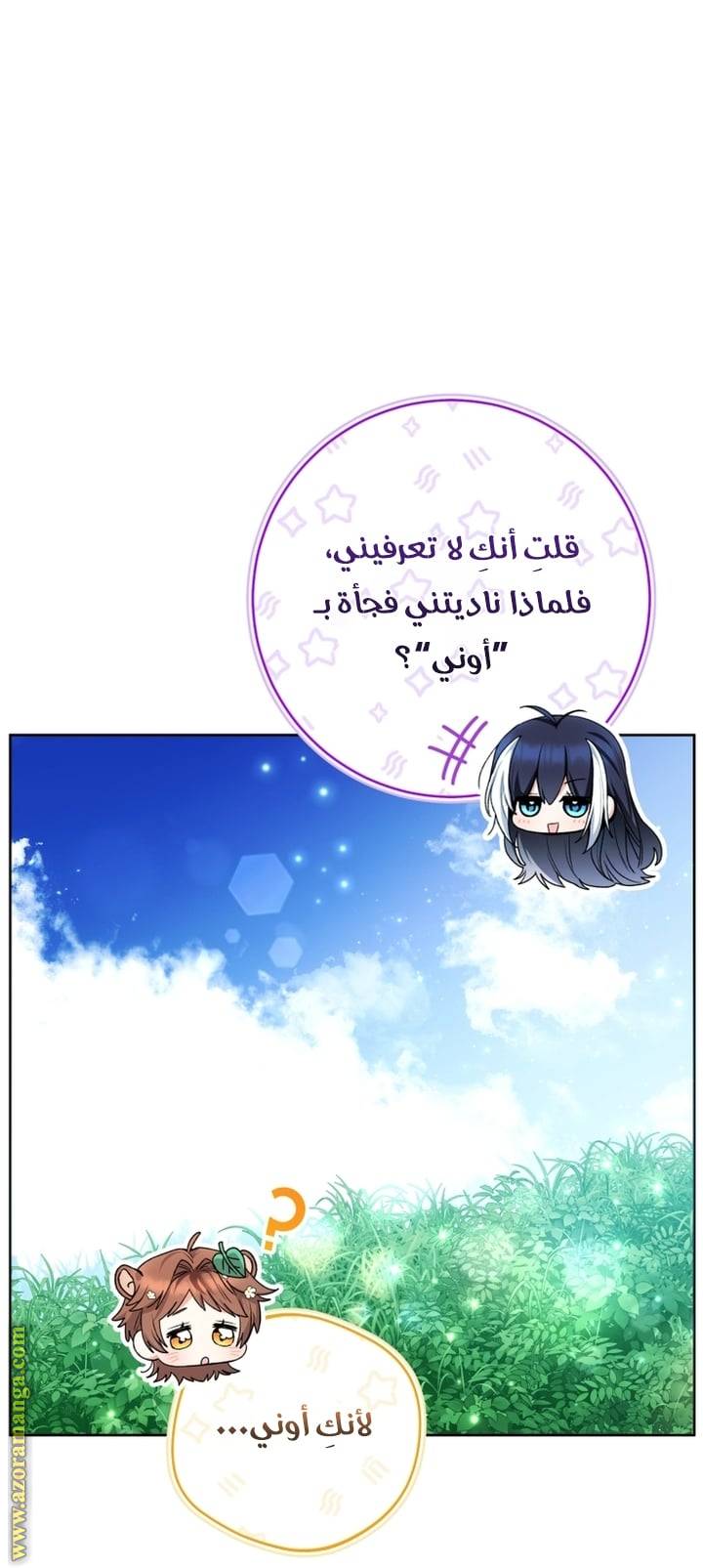 الصفحة 17