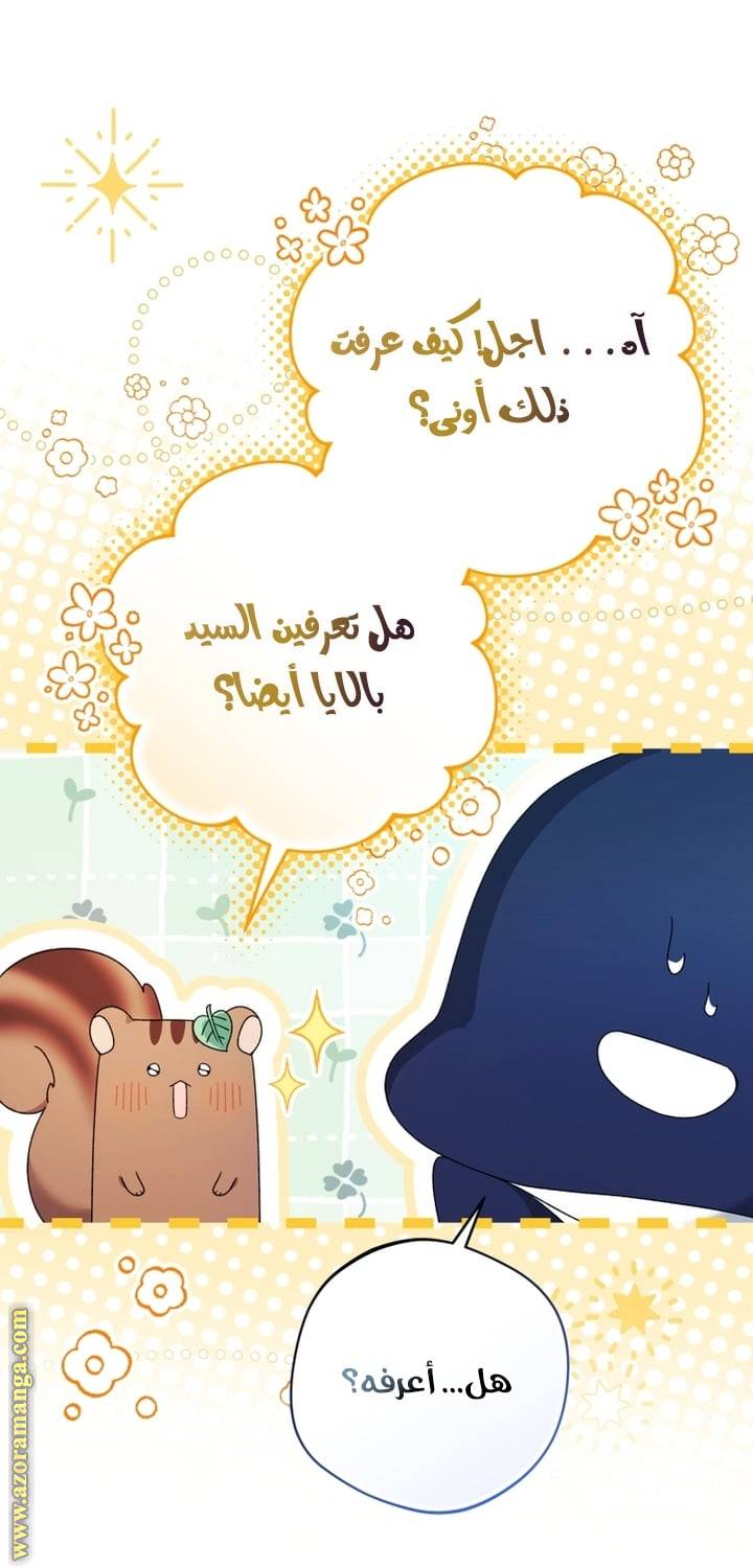الصفحة 19