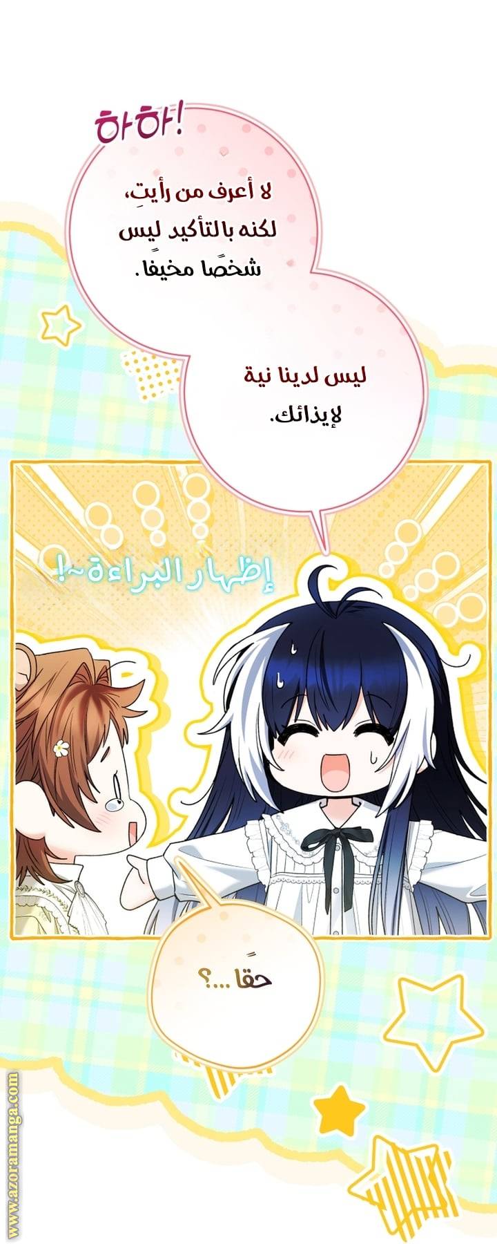 الصفحة 25