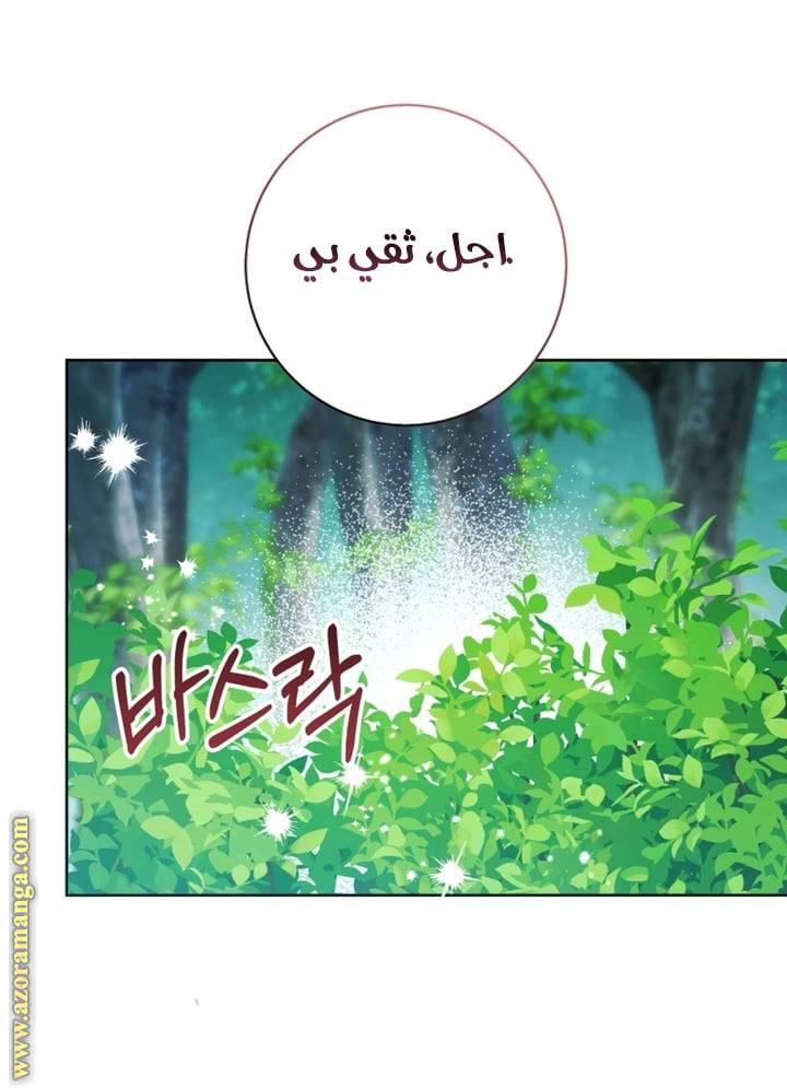 الصفحة 26