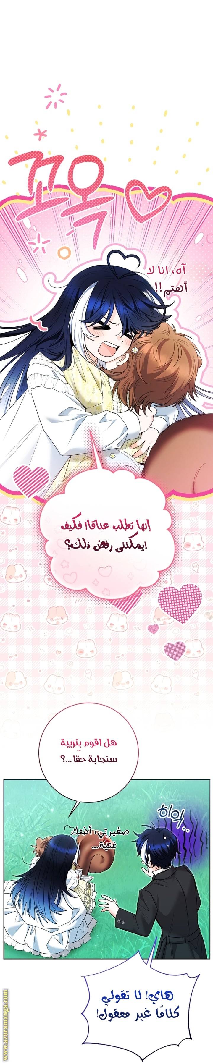 الصفحة 41