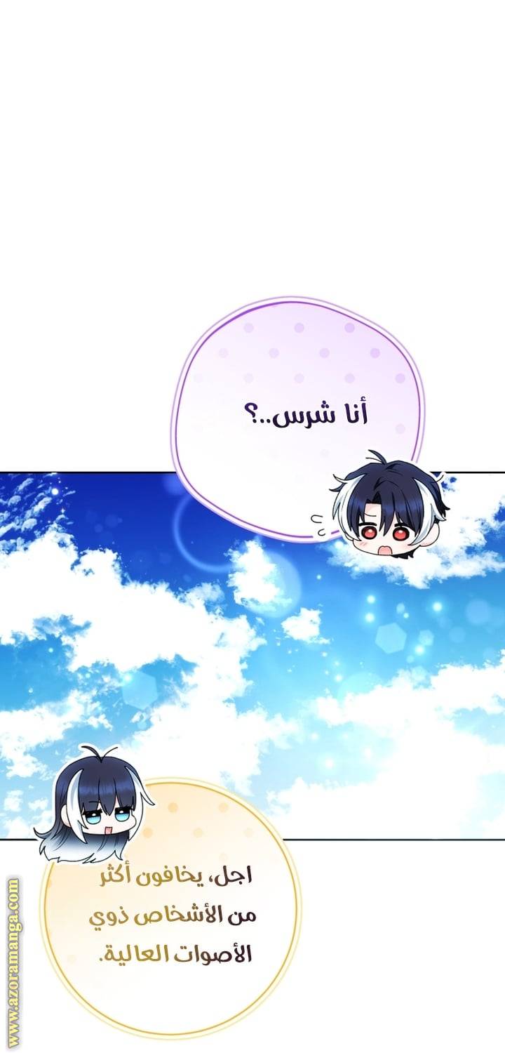 الصفحة 43