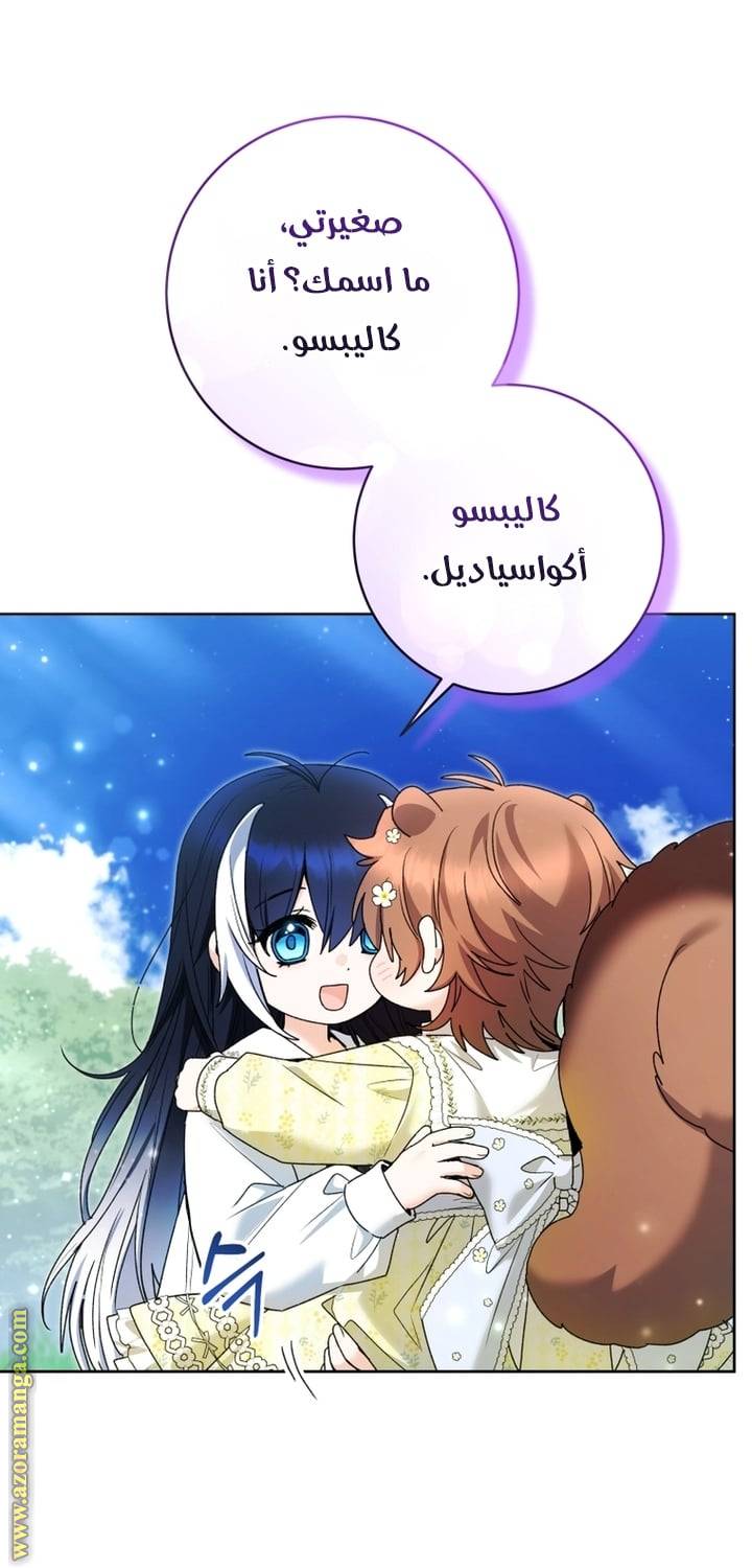 الصفحة 46