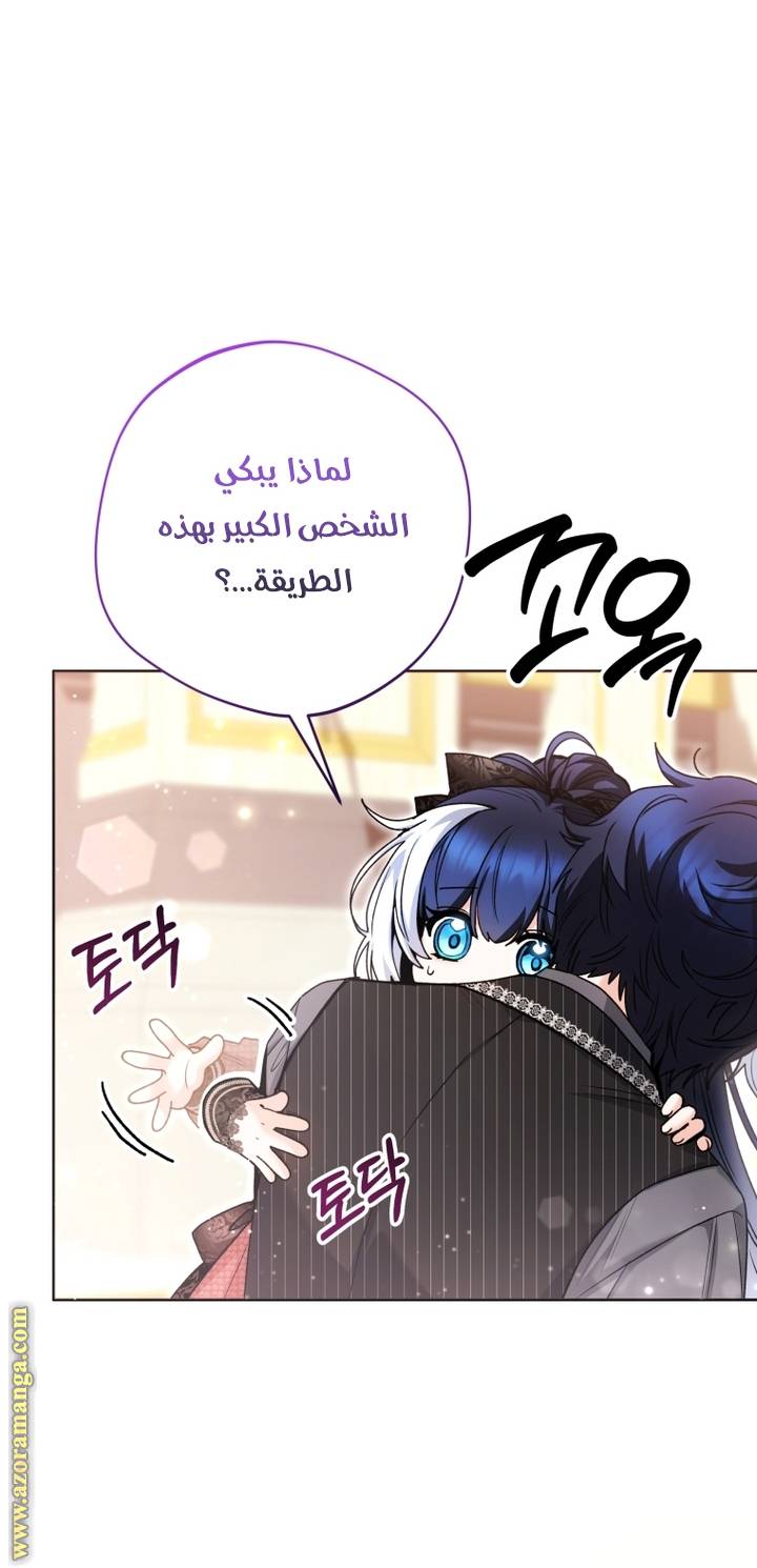 الصفحة 27