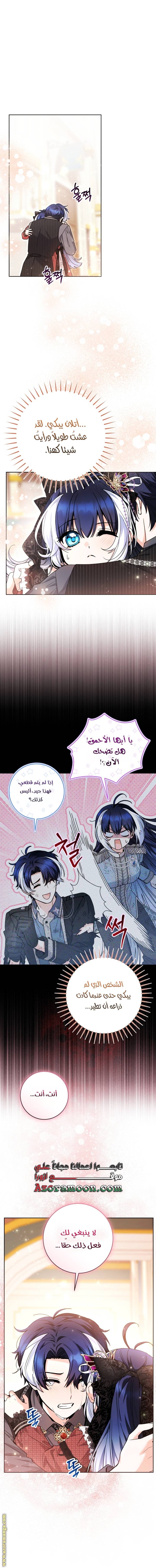 الصفحة 30