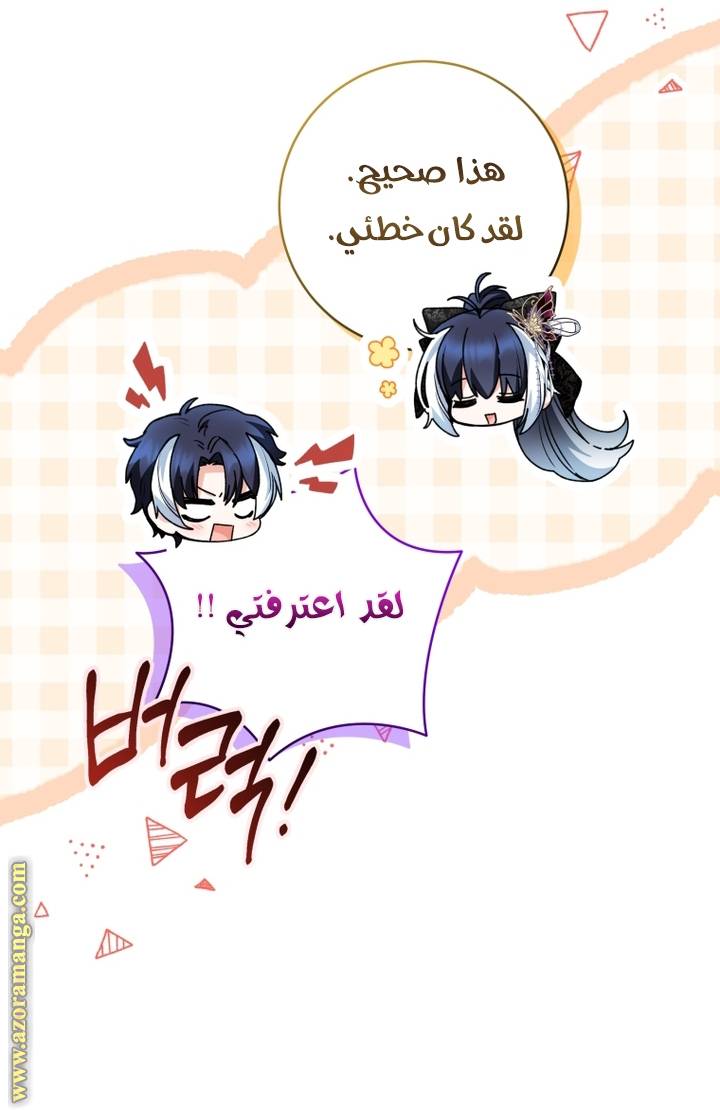 الصفحة 41