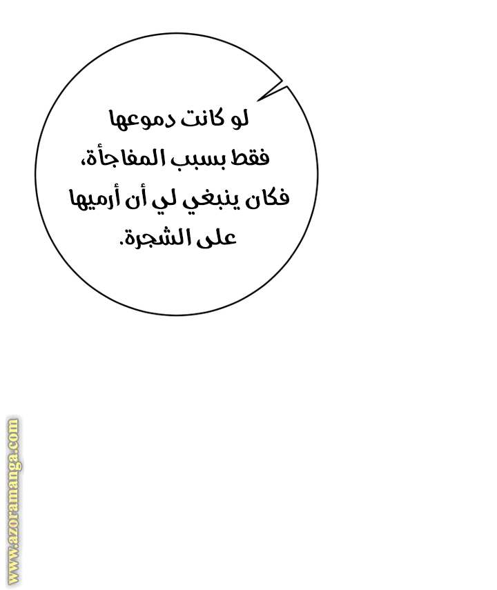 الصفحة 38