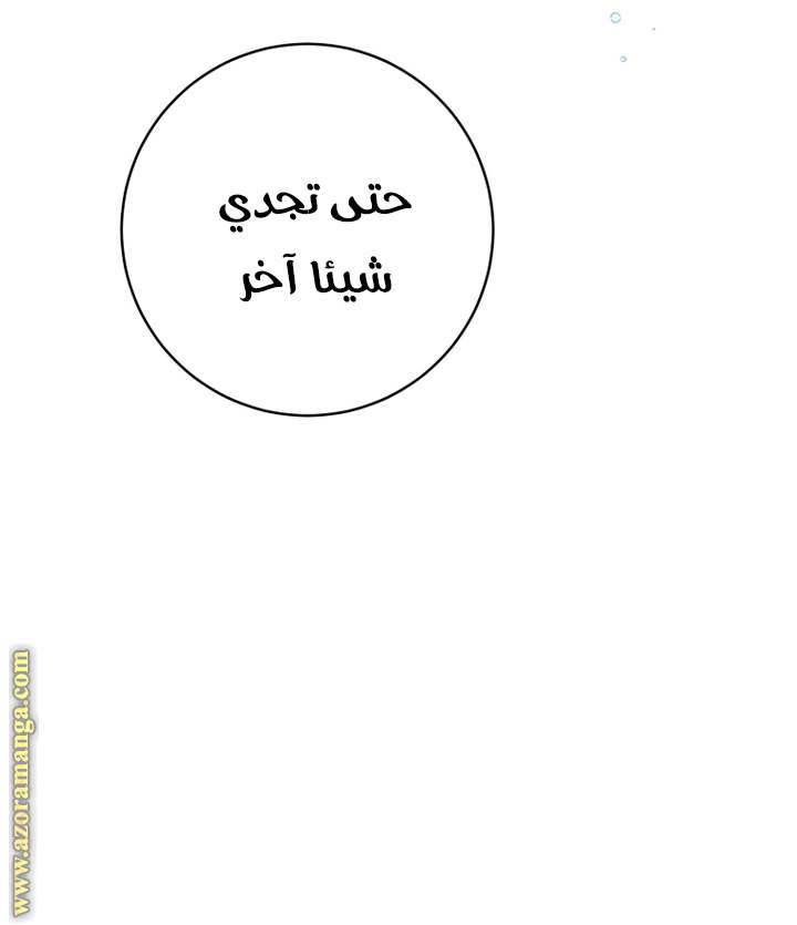 الصفحة 47