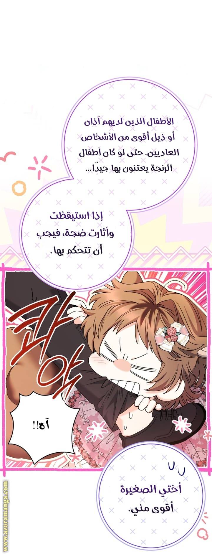 الصفحة 27