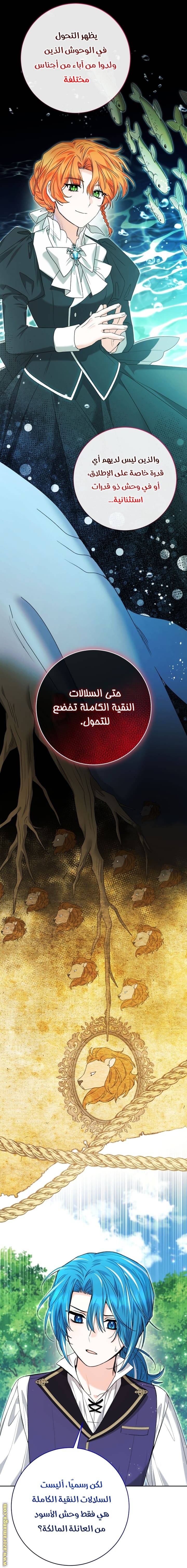 الصفحة 33