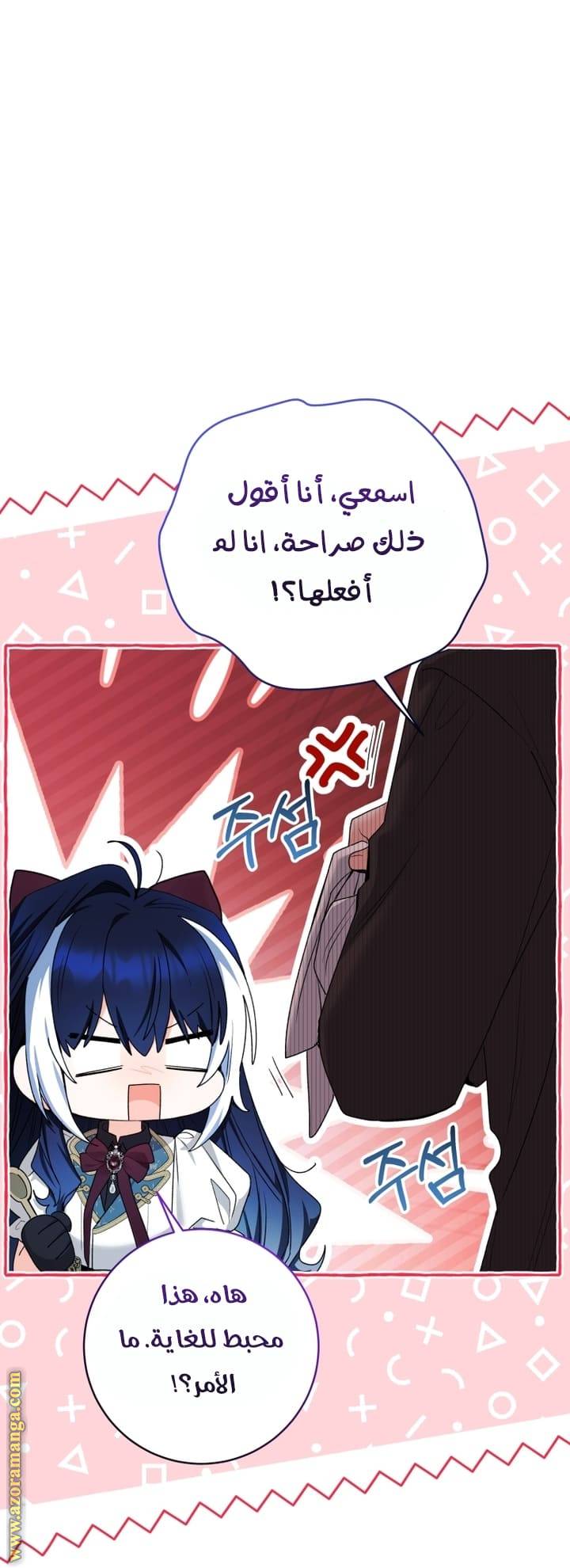 الصفحة 41
