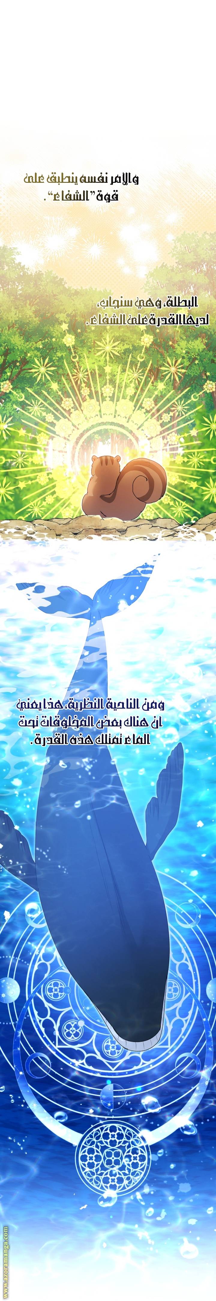 الصفحة 13