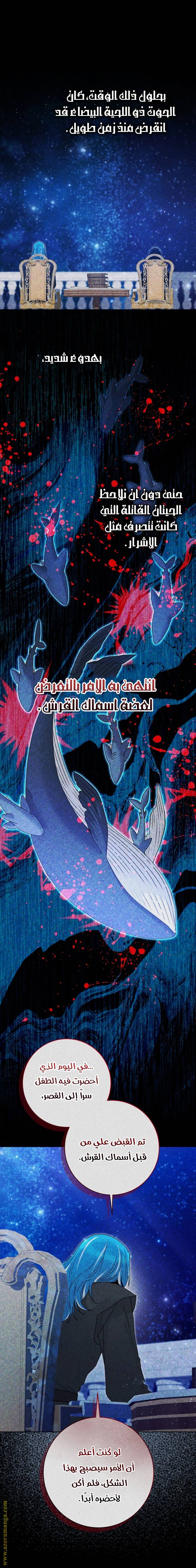 الصفحة 19