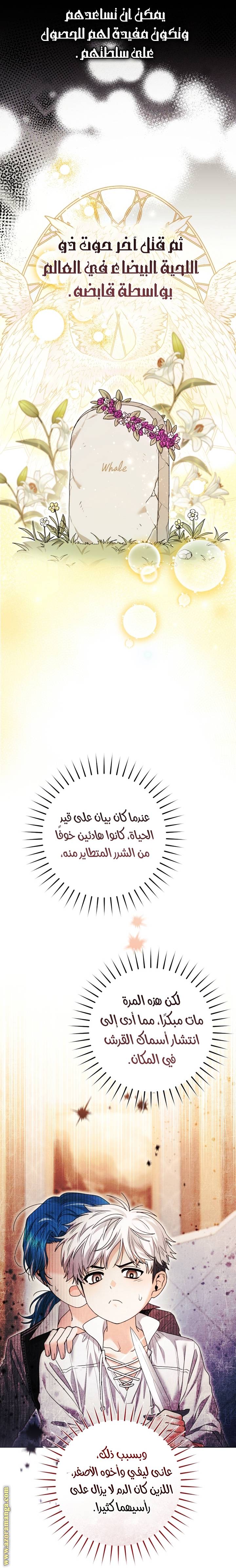 الصفحة 22