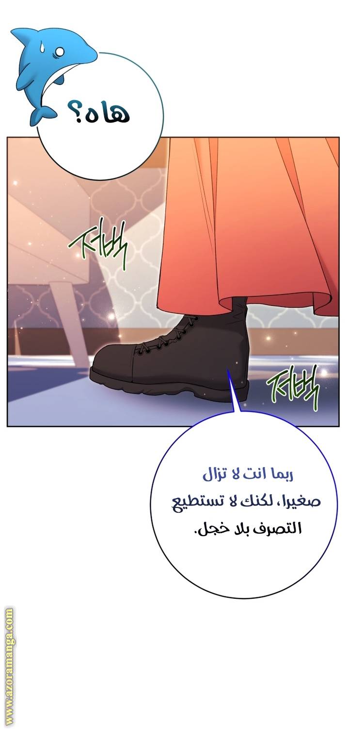الصفحة 43